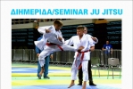 JU-JITSU-2-724x1024